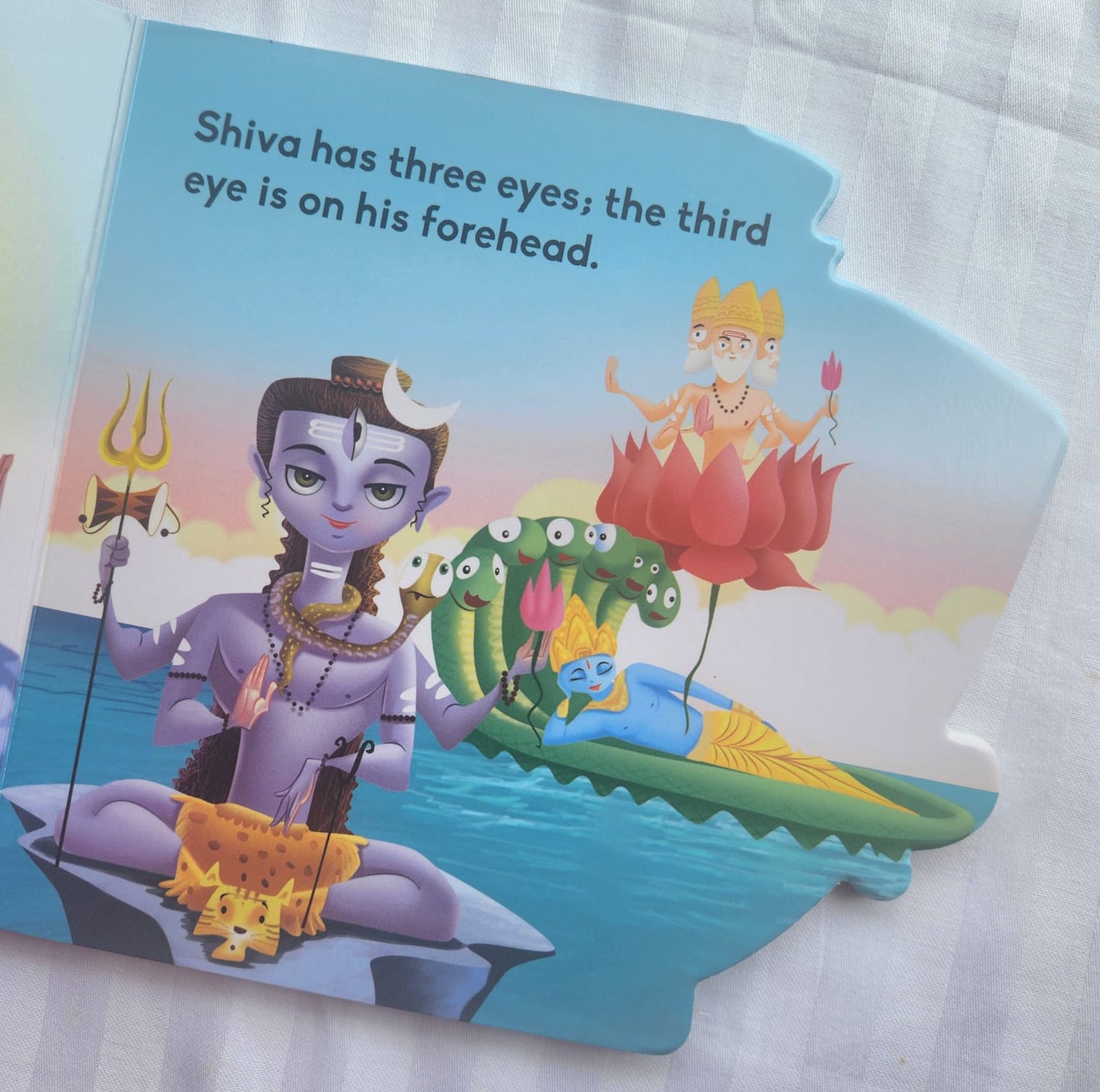 Shiva Board Book